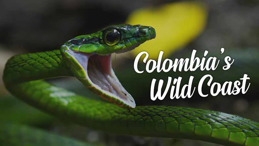 Colombias-Wild-Coast.jpg