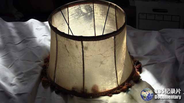 Human-Lampshade-A-Holocaust-Mystery.jpg