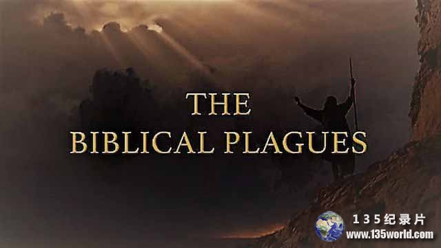 The-Biblical-Plagues.jpg