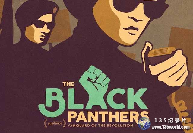 The-Black-Panthers.jpg
