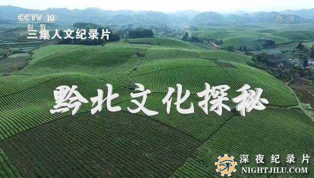 qianbeiwenhua.jpg
