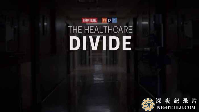 The-Healthcare-Divide.jpg