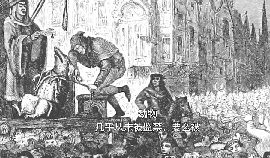DONG-WU-XING.jpg