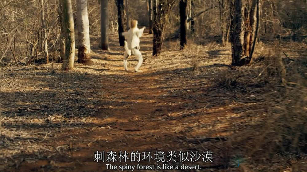 XX-43523hztcdv0g12.jpg