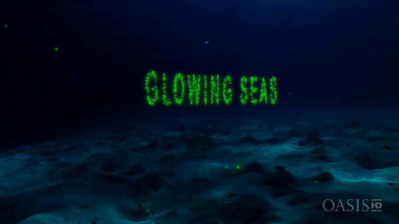 zd0en4jr4k453.jpg