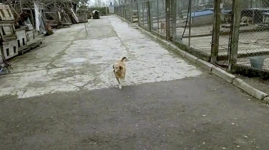hbhya7.jpg