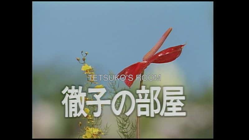 sx5svoaxljh28.jpg
